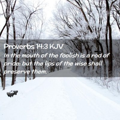 Picture 02 - Proverbs 14:3 KJV - In the mouth of the foolish is a rod of pride: - Bible Verse Picture