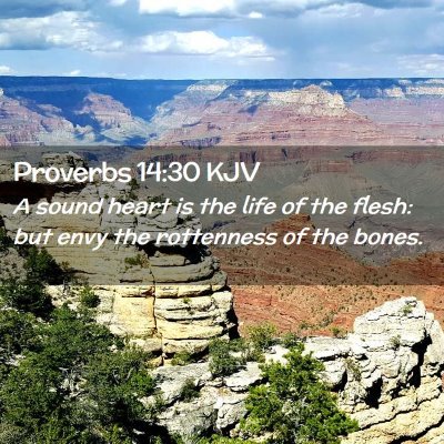 Picture 02 - Proverbs 14:30 KJV - A sound heart is the life of the flesh: but envy - Bible Verse Picture