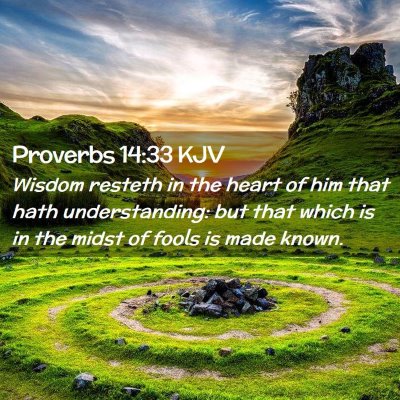 Picture 02 - Proverbs 14:33 KJV - Wisdom resteth in the heart of him that hath - Bible Verse Picture