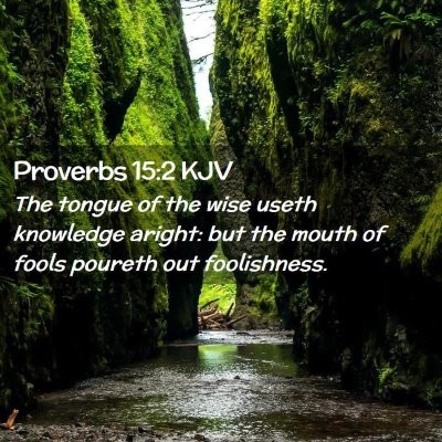 Picture 02 - Proverbs 15:2 KJV - The tongue of the wise useth knowledge aright: - Bible Verse Picture