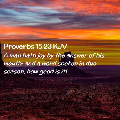 Picture 02 - Proverbs 15:23 KJV - A man hath joy by the answer of his mouth: and a - Bible Verse Picture