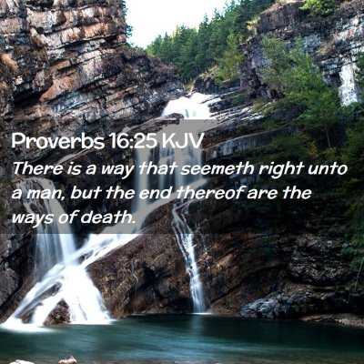 Picture 02 - Proverbs 16:25 KJV - There is a way that seemeth right unto a man, but - Bible Verse Picture