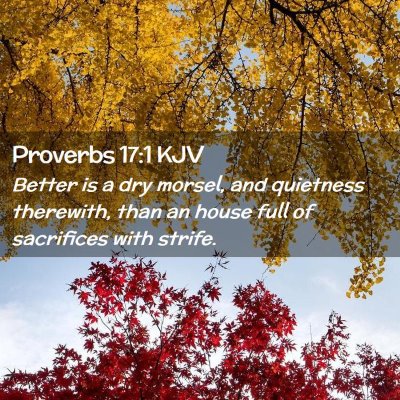 Picture 02 - Proverbs 17:1 KJV - Better is a dry morsel, and quietness therewith, - Bible Verse Picture