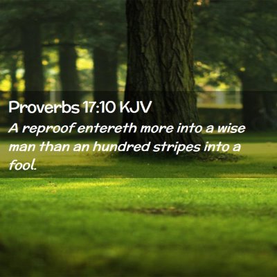 Picture 02 - Proverbs 17:10 KJV - A reproof entereth more into a wise man than an - Bible Verse Picture