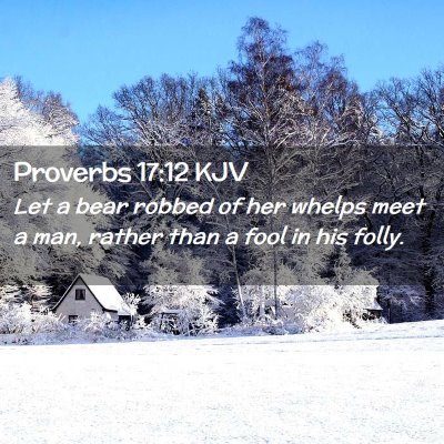 Picture 02 - Proverbs 17:12 KJV - Let a bear robbed of her whelps meet a man, - Bible Verse Picture
