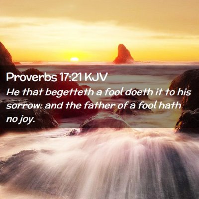 Picture 02 - Proverbs 17:21 KJV - He that begetteth a fool doeth it to his sorrow: - Bible Verse Picture
