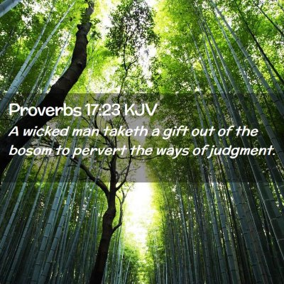 Picture 02 - Proverbs 17:23 KJV - A wicked man taketh a gift out of the bosom to - Bible Verse Picture