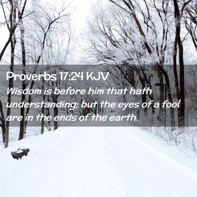Picture 02 - Proverbs 17:24 KJV - Wisdom is before him that hath understanding; but - Bible Verse Picture