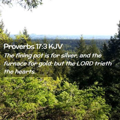 Picture 02 - Proverbs 17:3 KJV - The fining pot is for silver, and the furnace for - Bible Verse Picture