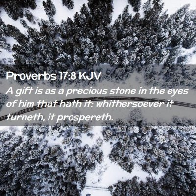 Picture 02 - Proverbs 17:8 KJV - A gift is as a precious stone in the eyes of him - Bible Verse Picture