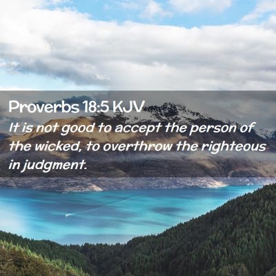 Picture 02 - Proverbs 18:5 KJV - It is not good to accept the person of the - Bible Verse Picture