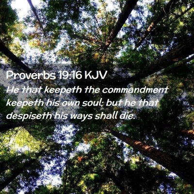 Picture 02 - Proverbs 19:16 KJV - He that keepeth the commandment keepeth his own - Bible Verse Picture