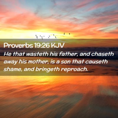 Picture 02 - Proverbs 19:26 KJV - He that wasteth his father, and chaseth away his - Bible Verse Picture