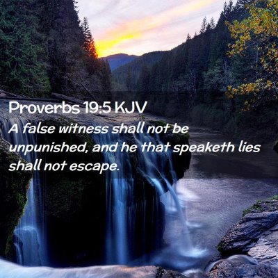 Picture 02 - Proverbs 19:5 KJV - A false witness shall not be unpunished, and he - Bible Verse Picture