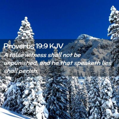 Picture 02 - Proverbs 19:9 KJV - A false witness shall not be unpunished, and he - Bible Verse Picture