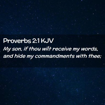 Picture 02 - Proverbs 2:1 KJV - My son, if thou wilt receive my words, and hide - Bible Verse Picture