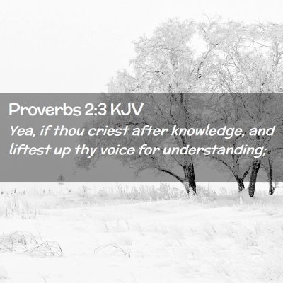 Picture 02 - Proverbs 2:3 KJV - Yea, if thou criest after knowledge, and liftest - Bible Verse Picture