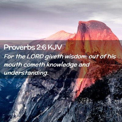 Picture 02 - Proverbs 2:6 KJV - For the LORD giveth wisdom: out of his mouth - Bible Verse Picture