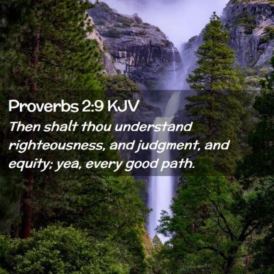 Picture 02 - Proverbs 2:9 KJV - Then shalt thou understand righteousness, and - Bible Verse Picture