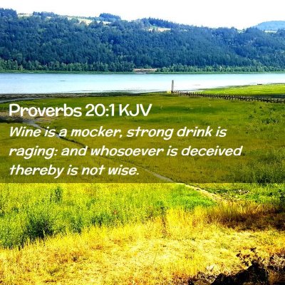Picture 02 - Proverbs 20:1 KJV - Wine is a mocker, strong drink is raging: and - Bible Verse Picture