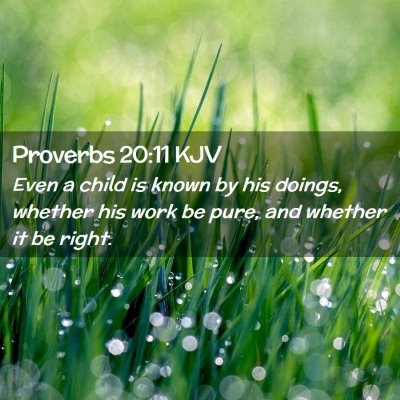 Picture 02 - Proverbs 20:11 KJV - Even a child is known by his doings, whether his - Bible Verse Picture
