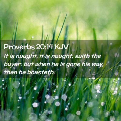 Picture 02 - Proverbs 20:14 KJV - It is naught, it is naught, saith the buyer: but - Bible Verse Picture