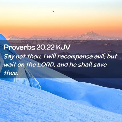 Picture 02 - Proverbs 20:22 KJV - Say not thou, I will recompense evil; but wait on - Bible Verse Picture