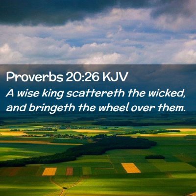 Picture 02 - Proverbs 20:26 KJV - A wise king scattereth the wicked, and bringeth - Bible Verse Picture