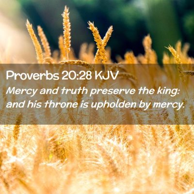 Picture 02 - Proverbs 20:28 KJV - Mercy and truth preserve the king: and his throne - Bible Verse Picture