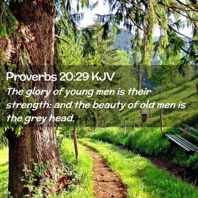 Picture 02 - Proverbs 20:29 KJV - The glory of young men is their strength: and the - Bible Verse Picture