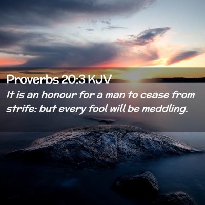 Picture 02 - Proverbs 20:3 KJV - It is an honour for a man to cease from strife: - Bible Verse Picture