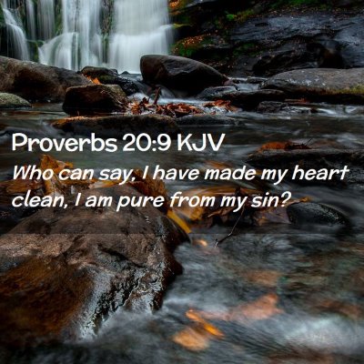 Picture 02 - Proverbs 20:9 KJV - Who can say, I have made my heart clean, I am - Bible Verse Picture