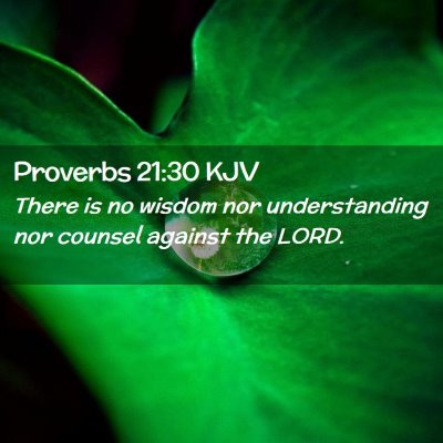 Picture 02 - Proverbs 21:30 KJV - There is no wisdom nor understanding nor counsel - Bible Verse Picture