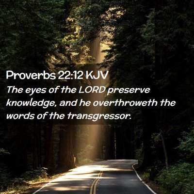 Picture 02 - Proverbs 22:12 KJV - The eyes of the LORD preserve knowledge, and he - Bible Verse Picture