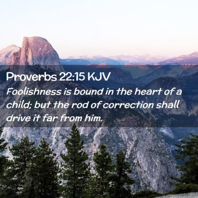 Picture 02 - Proverbs 22:15 KJV - Foolishness is bound in the heart of a child; but - Bible Verse Picture