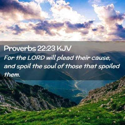 Picture 02 - Proverbs 22:23 KJV - For the LORD will plead their cause, and spoil - Bible Verse Picture