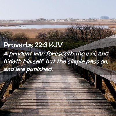 Picture 02 - Proverbs 22:3 KJV - A prudent man foreseeth the evil, and hideth - Bible Verse Picture