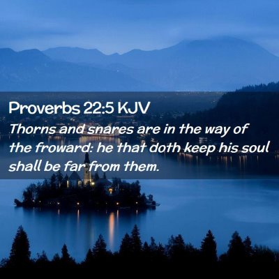 Picture 02 - Proverbs 22:5 KJV - Thorns and snares are in the way of the froward: - Bible Verse Picture