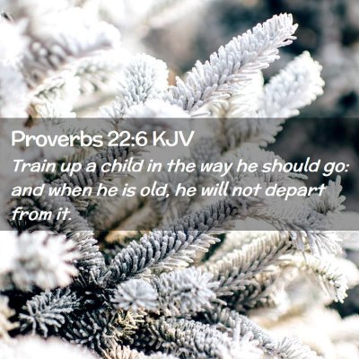 Picture 02 - Proverbs 22:6 KJV - Train up a child in the way he should go: and - Bible Verse Picture