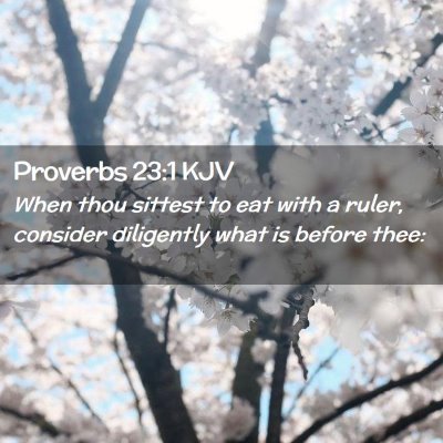 Picture 02 - Proverbs 23:1 KJV - When thou sittest to eat with a ruler, consider - Bible Verse Picture