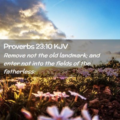 Picture 02 - Proverbs 23:10 KJV - Remove not the old landmark; and enter not into - Bible Verse Picture