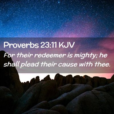 Picture 02 - Proverbs 23:11 KJV - For their redeemer is mighty; he shall plead - Bible Verse Picture