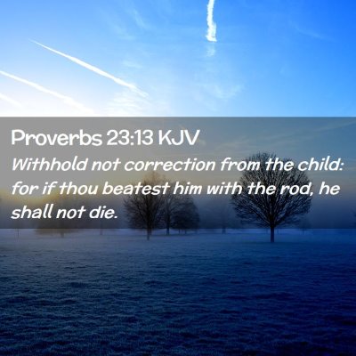Picture 02 - Proverbs 23:13 KJV - Withhold not correction from the child: for if - Bible Verse Picture