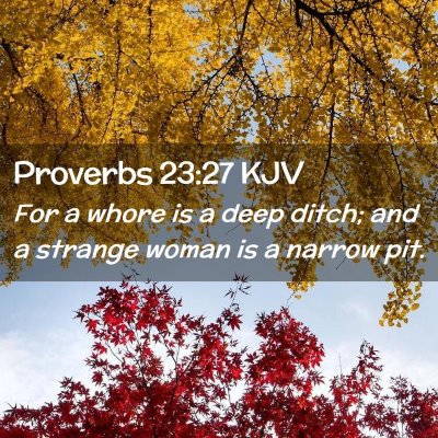 Picture 02 - Proverbs 23:27 KJV - For a whore is a deep ditch; and a strange woman - Bible Verse Picture