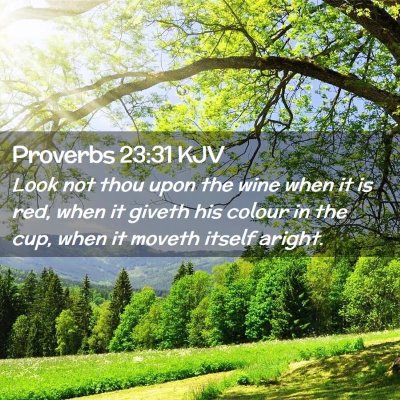 Picture 02 - Proverbs 23:31 KJV - Look not thou upon the wine when it is red, when - Bible Verse Picture