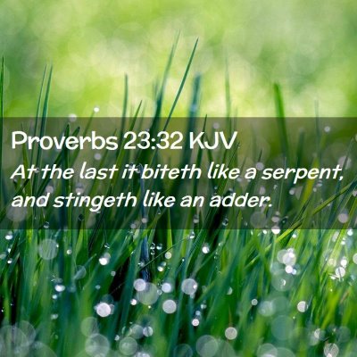 Picture 02 - Proverbs 23:32 KJV - At the last it biteth like a serpent, and - Bible Verse Picture