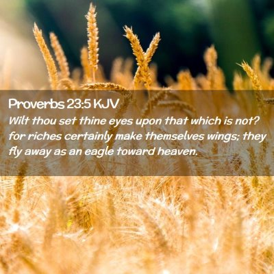 Picture 02 - Proverbs 23:5 KJV - Wilt thou set thine eyes upon that which is not? - Bible Verse Picture