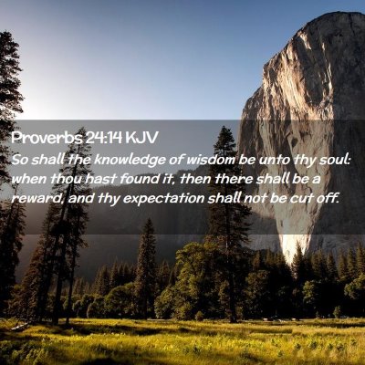 Picture 02 - Proverbs 24:14 KJV - So shall the knowledge of wisdom be unto thy - Bible Verse Picture