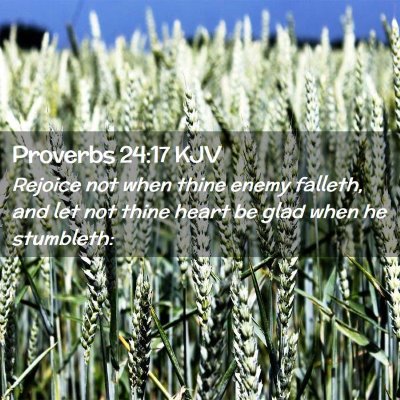 Picture 02 - Proverbs 24:17 KJV - Rejoice not when thine enemy falleth, and let not - Bible Verse Picture