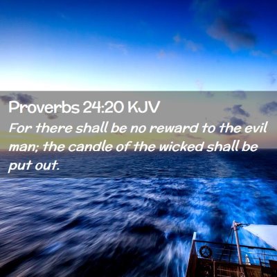Picture 02 - Proverbs 24:20 KJV - For there shall be no reward to the evil man; the - Bible Verse Picture